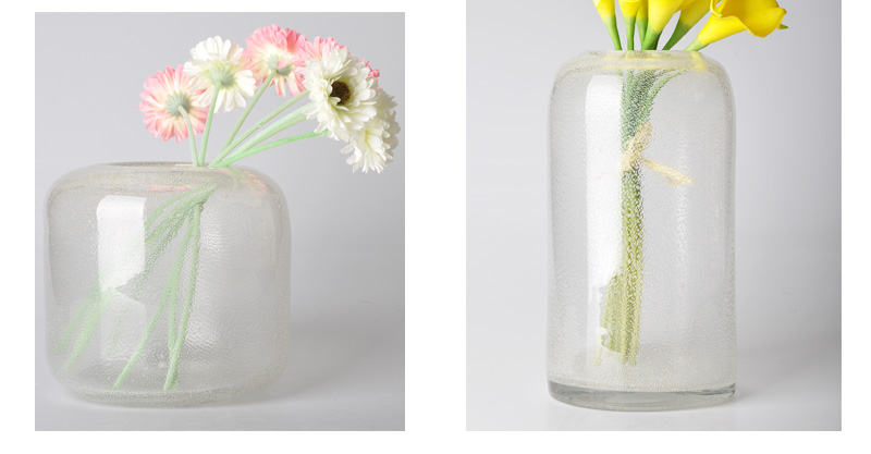 Transparent glass vase simple fashion European modern flower 63S004-18, 63S003-28, 63S003-36 Home Furnishing2