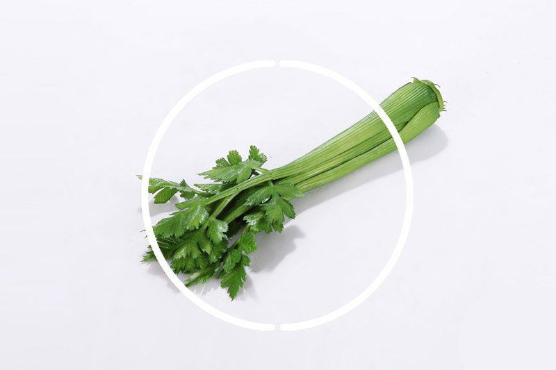 Wholesale fruit and vegetable celery celery Apple-02-29 simulation simulation3
