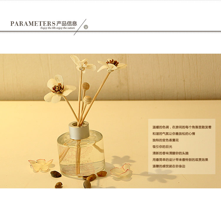 Factory direct Pafeilan [European] creative chic suit Home Furnishing gift cane volatile liquid P0173