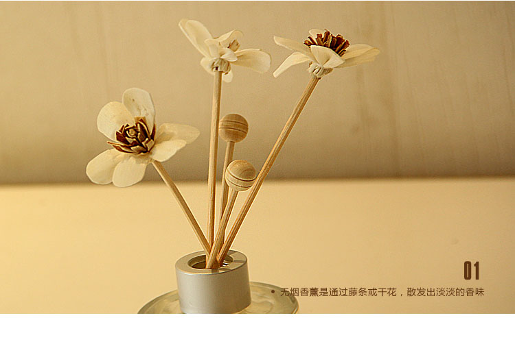 Factory direct Pafeilan [European] creative chic suit Home Furnishing gift cane volatile liquid P0174