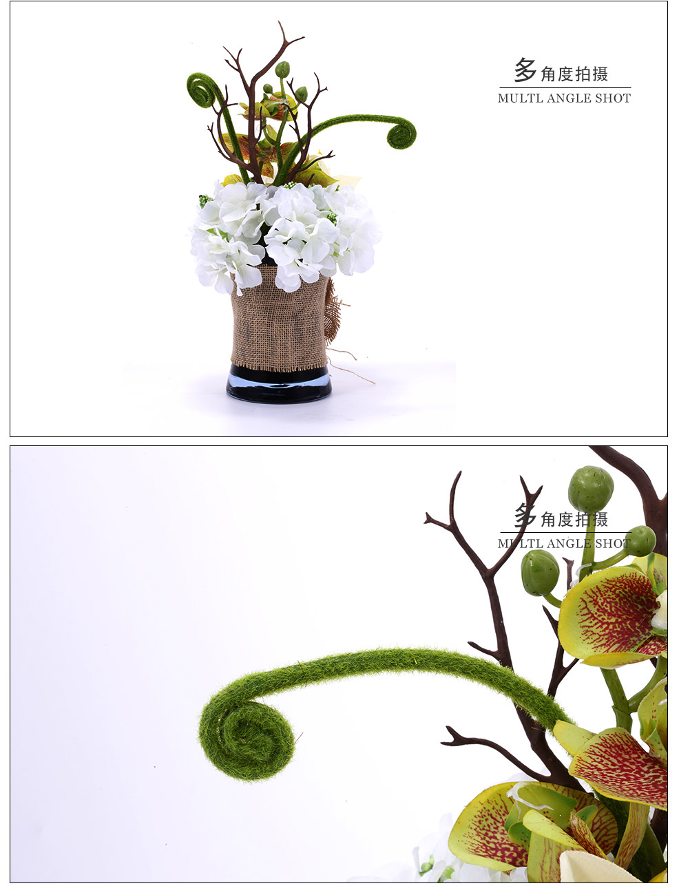 Small pots of bracken, Phalaenopsis, Clivia flower XL-1010-008 mixed simulation2