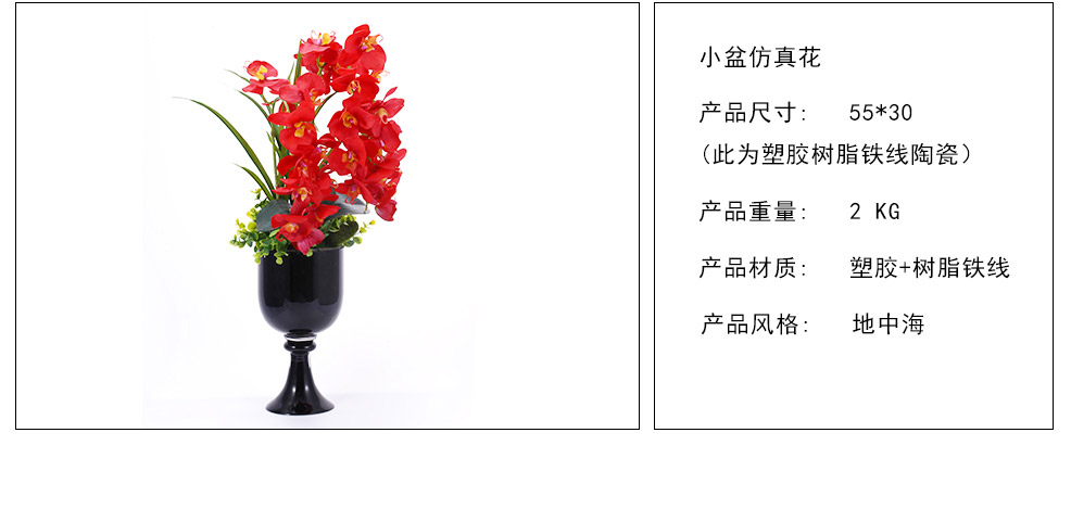 Fire red Phalaenopsis XL-1010-0024