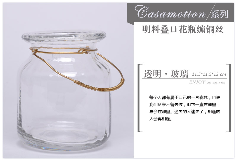 Modern fashion decoration decoration material Home Furnishing vase Ming vase wrapped 14A075 laminated copper wire2