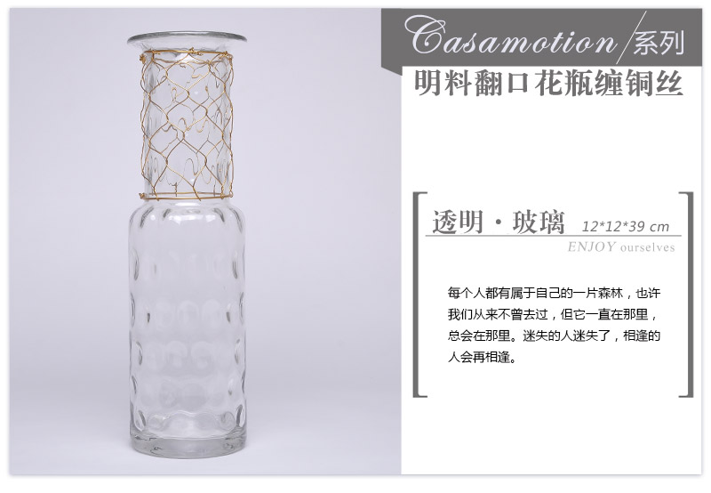 Modern fashion decoration decoration material Home Furnishing vase Ming vase wrapped copper wire 14A071 over the mouth2