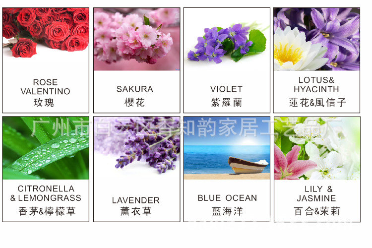 Use perfume pendant car fragrance high-grade car accessories car accessories furnishings oasis-09 LS Home Furnishing car6