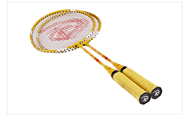 Vigny badminton racket for badminton5