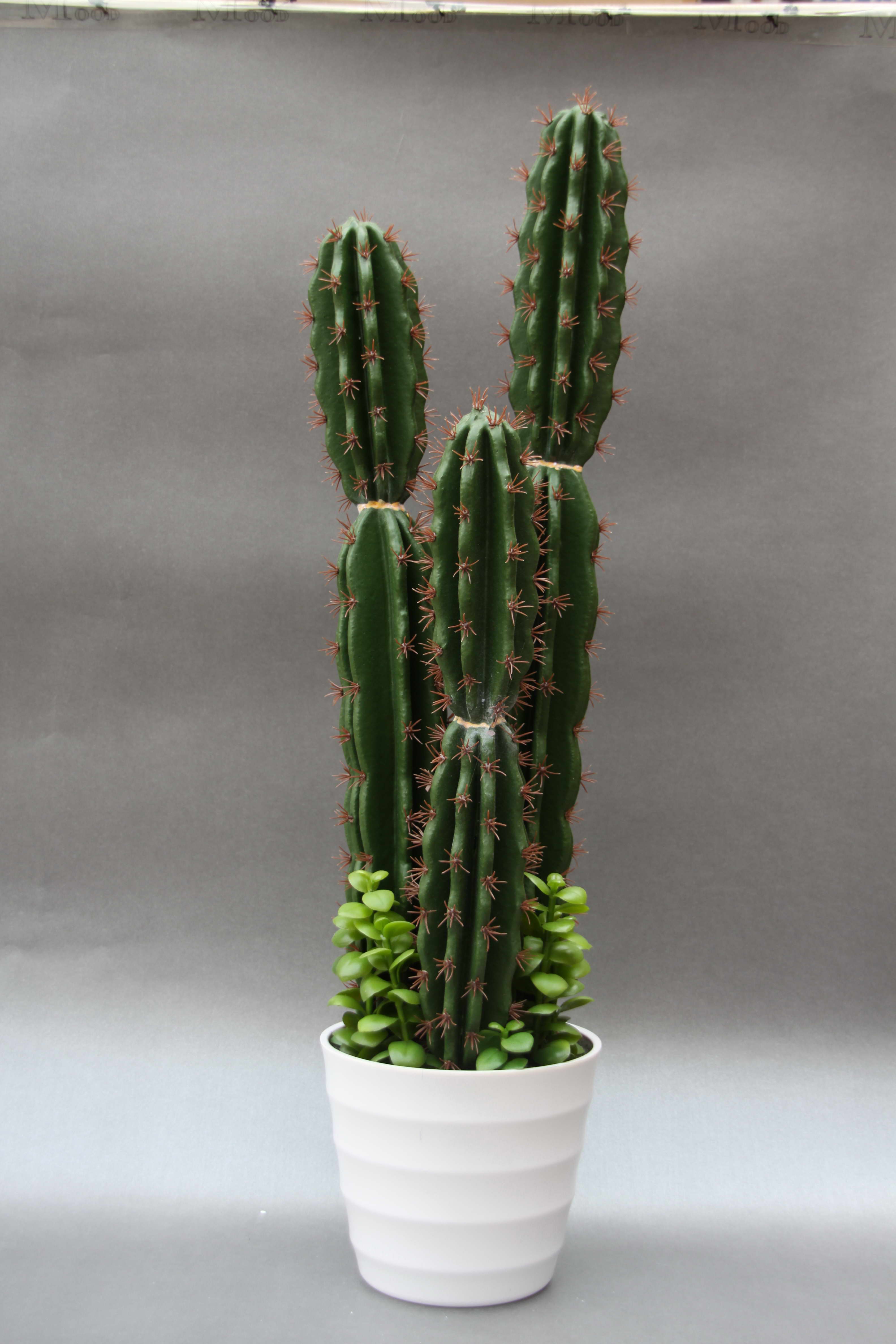 Chinese plastic three to 8 ribbed cactus simulation plant home decoration1