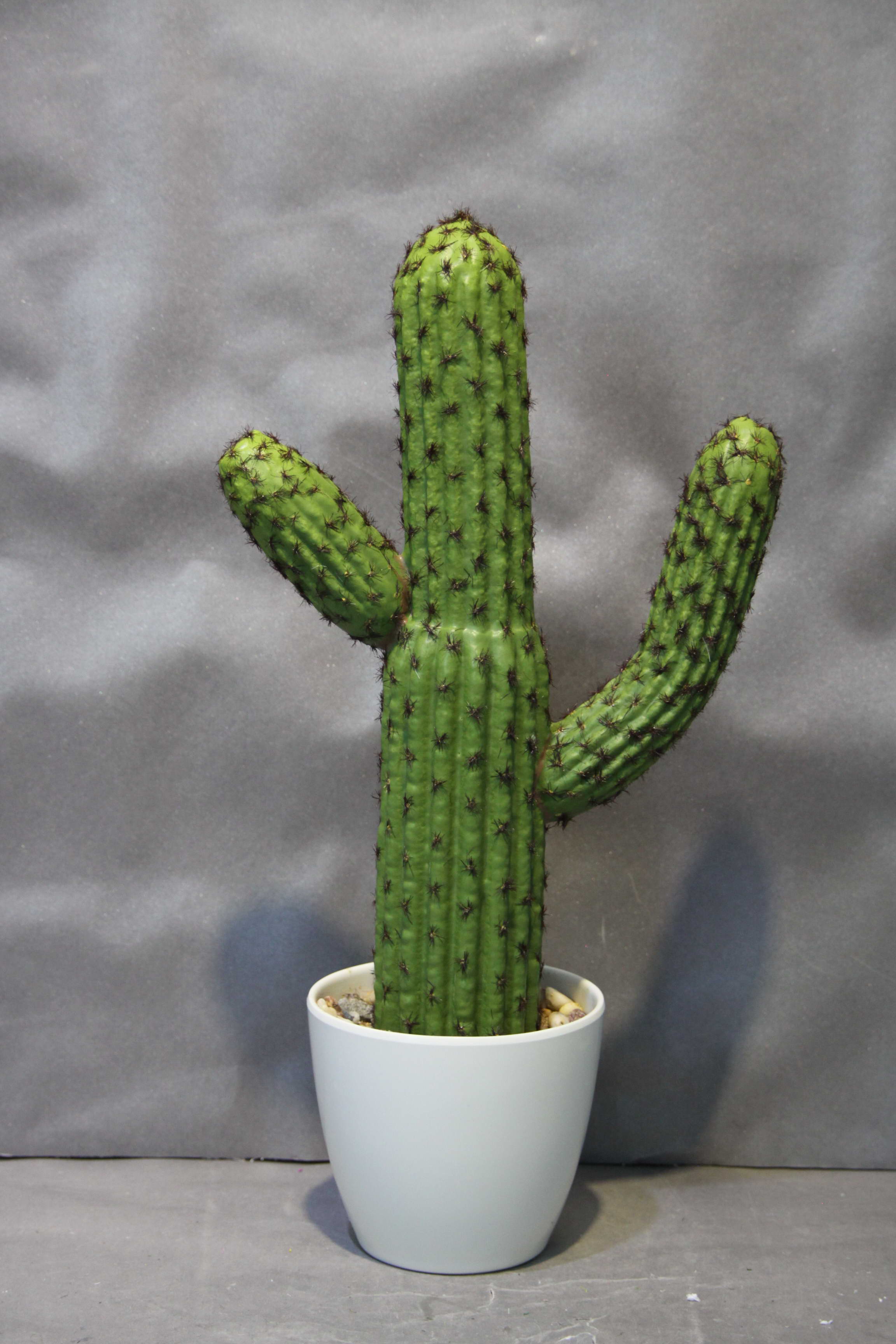 Western simulation desert cactus simulation plant home decoration1