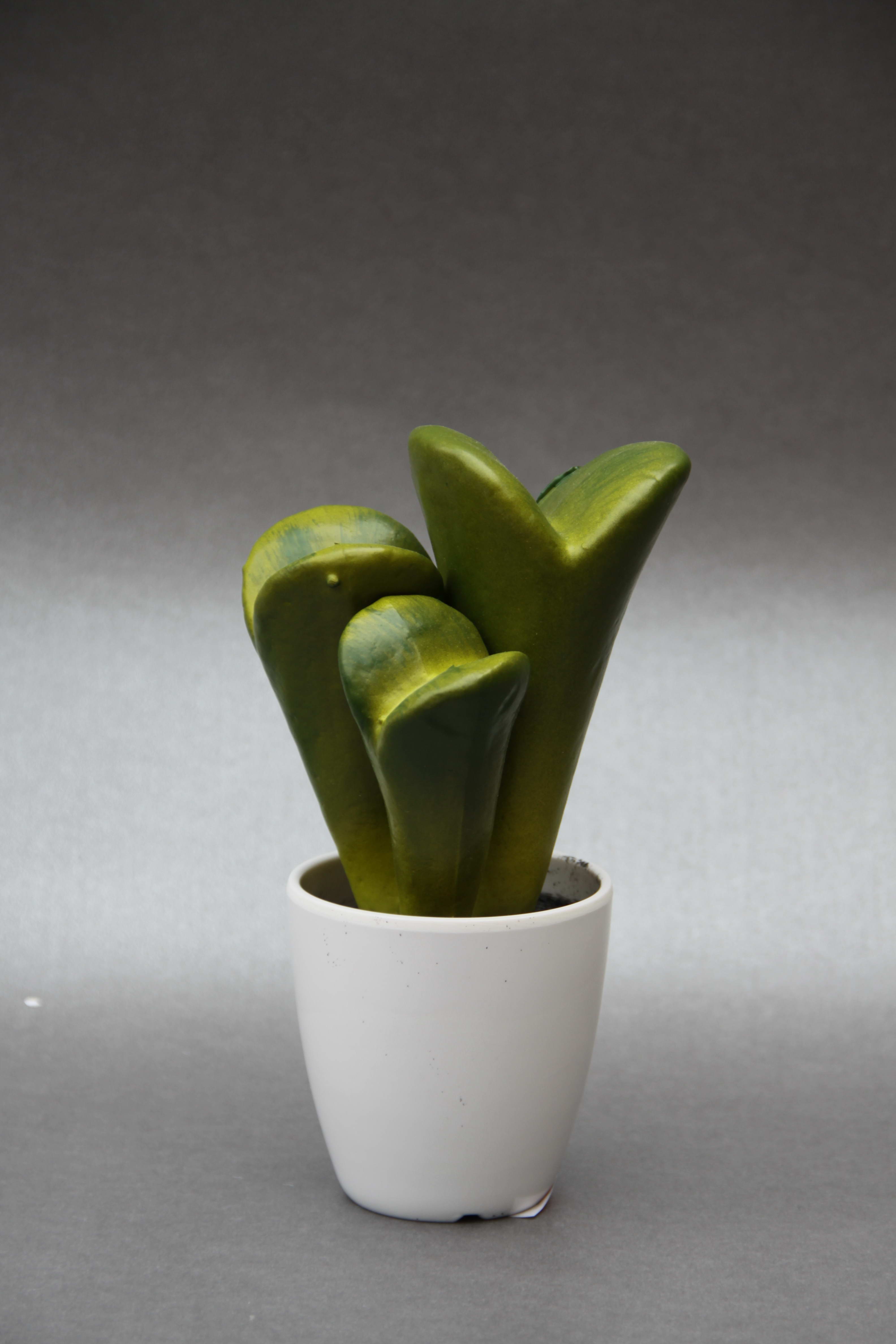 The western green jade plant simulation Home Furnishing decoration1