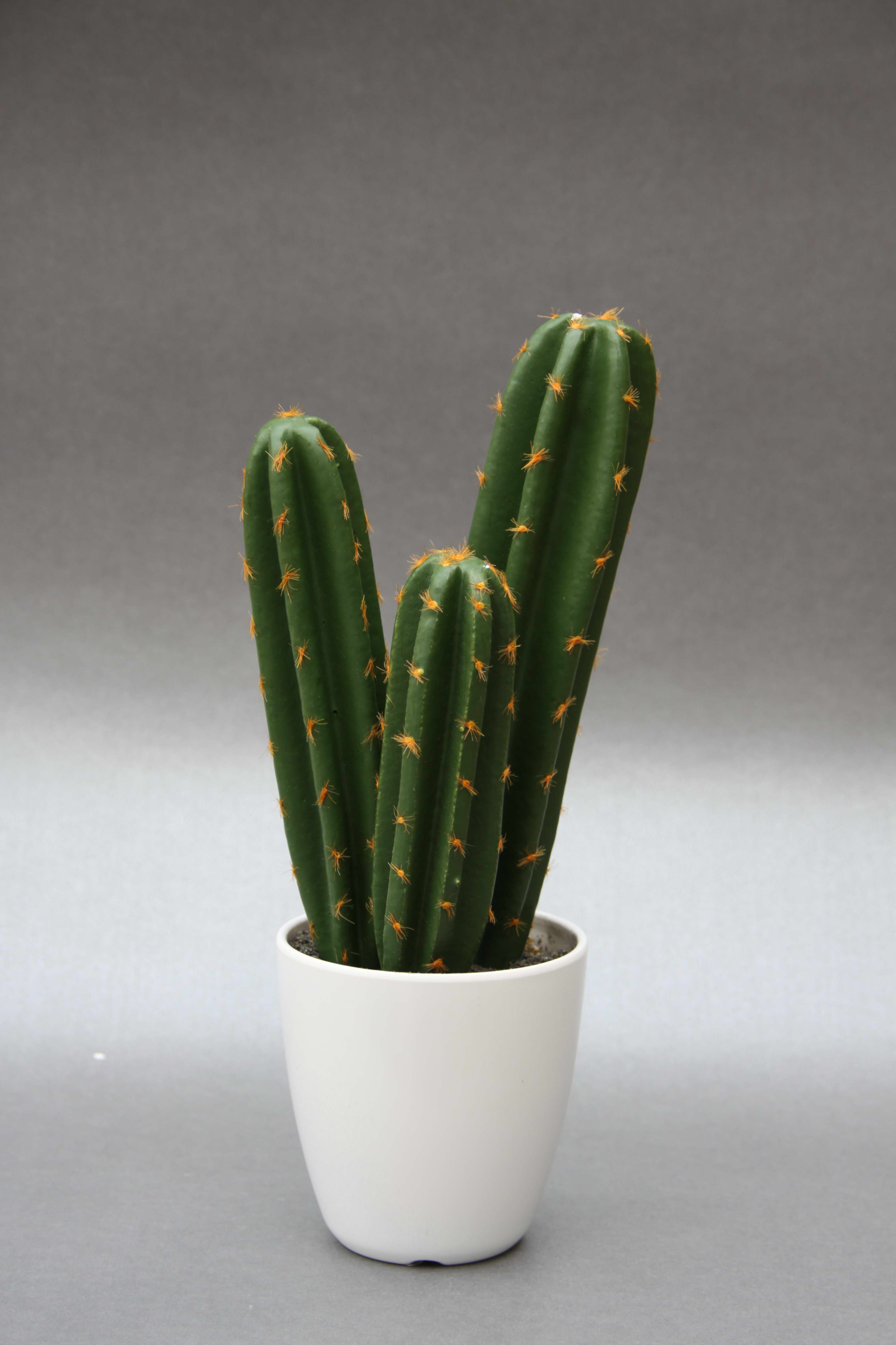 Western modern simulation three to six prismatic cactus simulation plant home decoration1