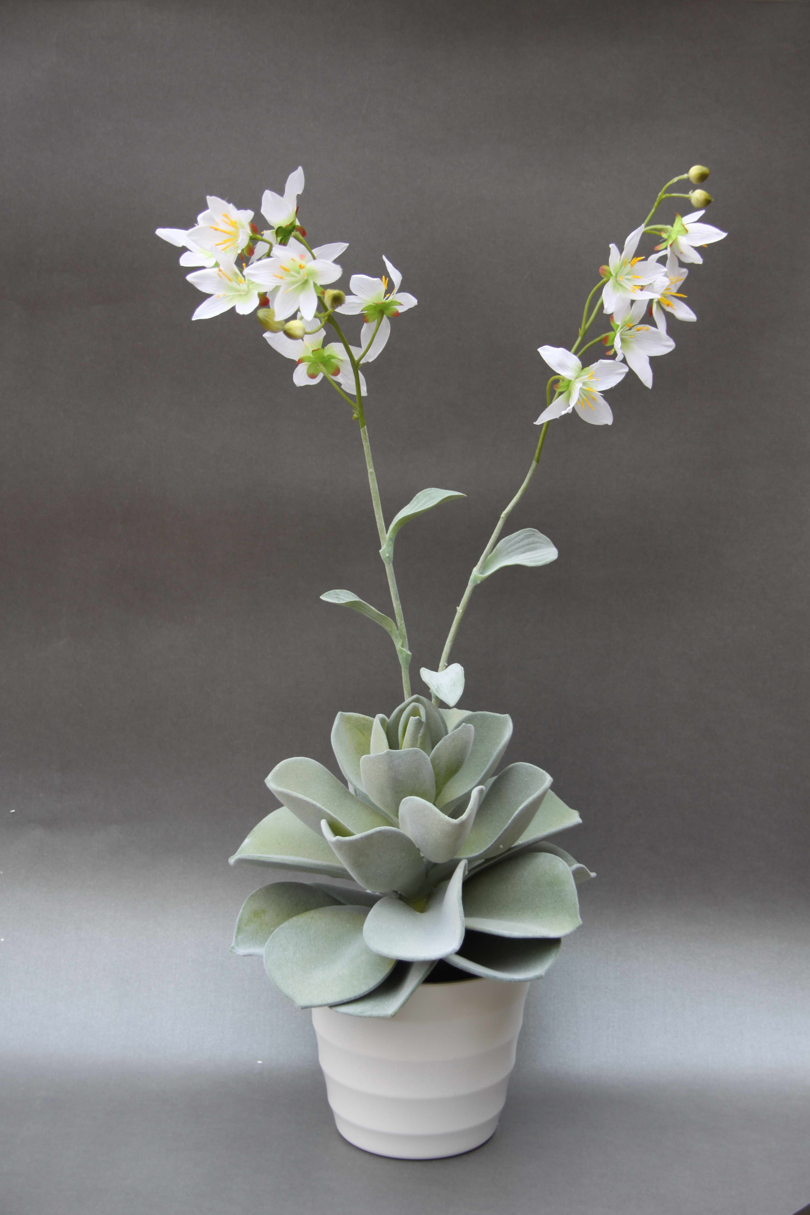 Chinese plastic Graptopetalum paraguayense simulation flower plant simulation Home Furnishing decoration1
