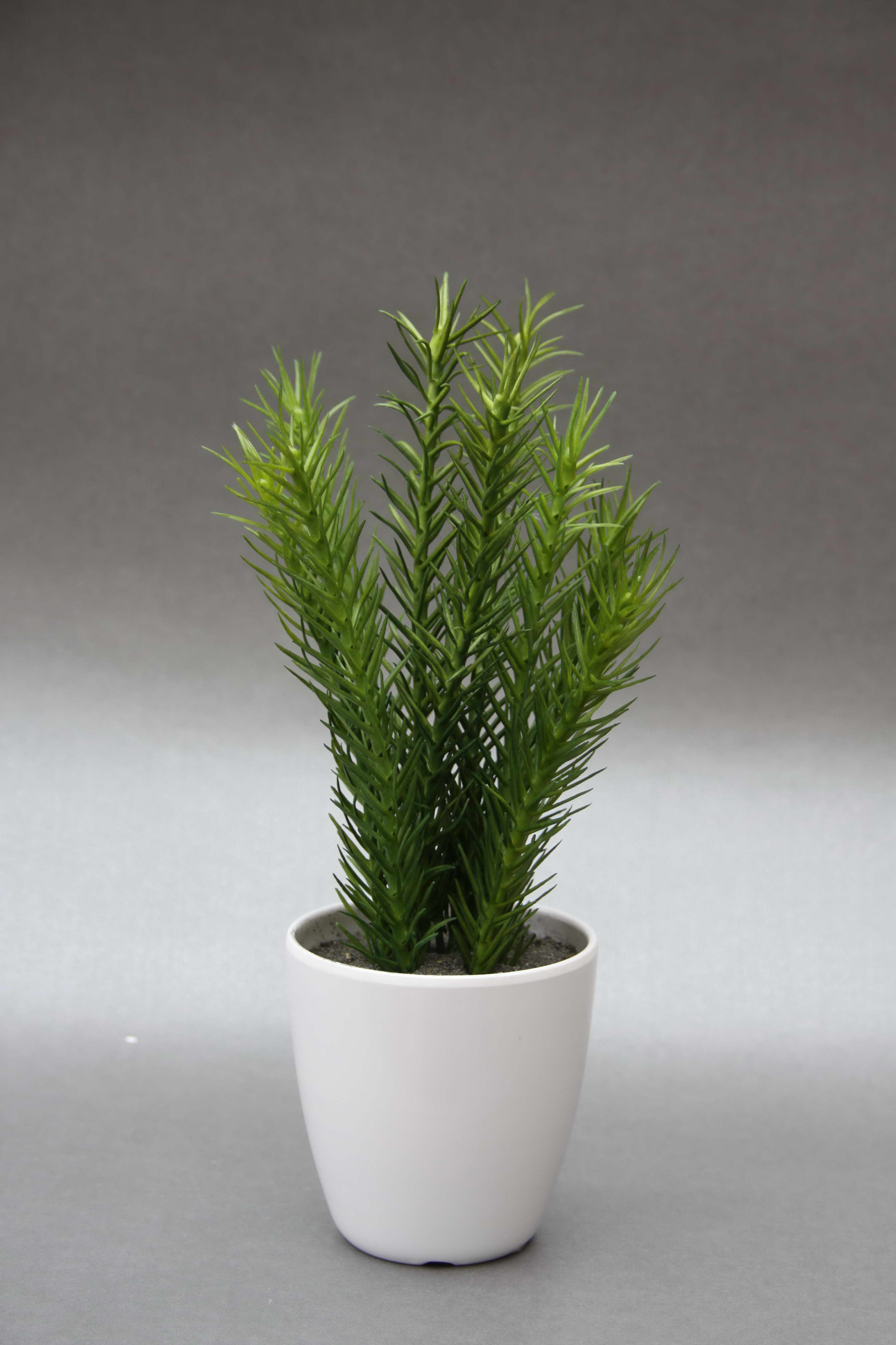 Western plastic pine needle grass simulation plant simulation plant home decoration1