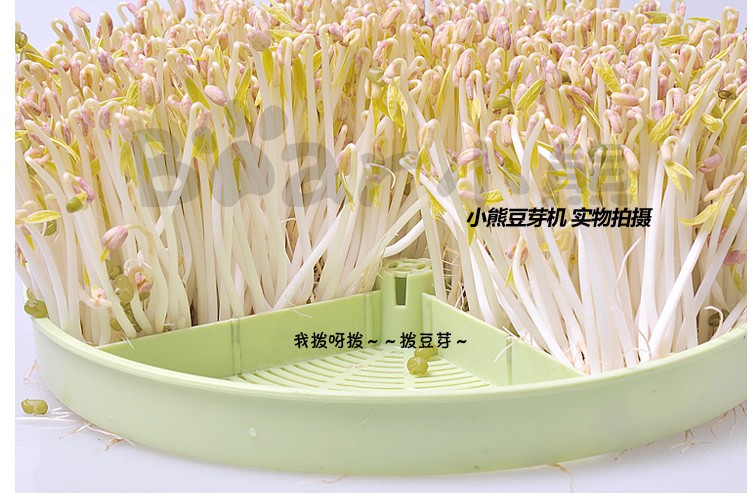 Small bear full automatic bean sprout machine DYJ-S645 bear bean sprout the latest bean sprout machine29