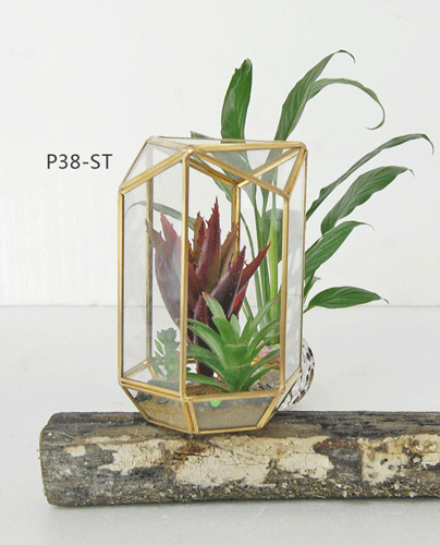 Simple pastoral style metal glass greenhouse pot decoration decoration4