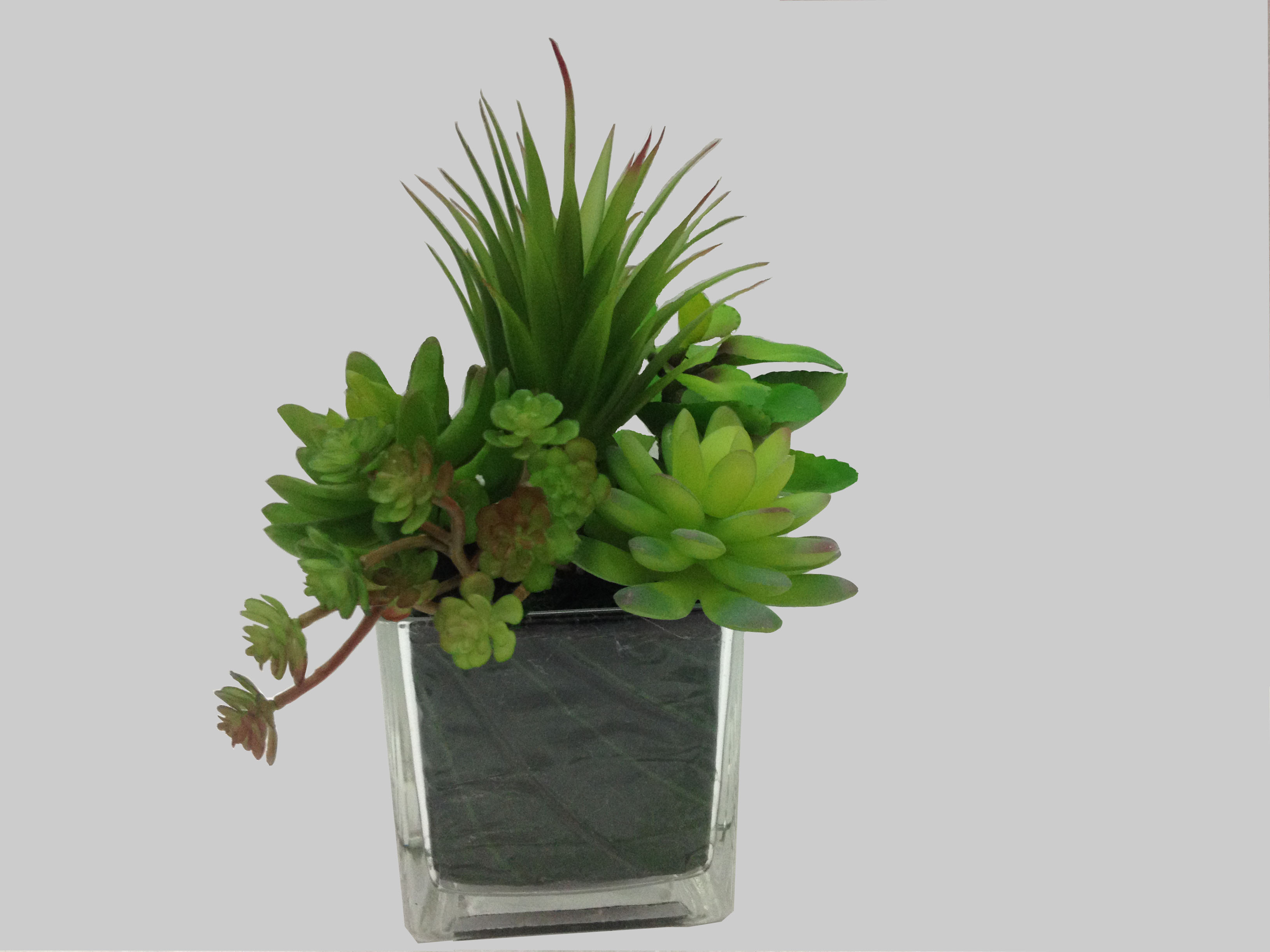 Simple pastoral Mini simulation green plant home decoration1