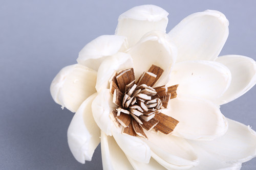 Simple white lotus dry flower simulation plant home decoration3