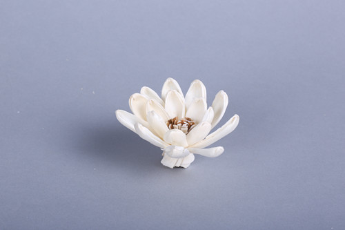 Simple white lotus dry flower simulation plant home decoration1