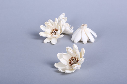 Simple white lotus dry flower simulation plant home decoration4
