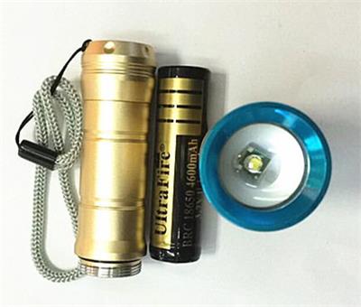 Light flashlight1