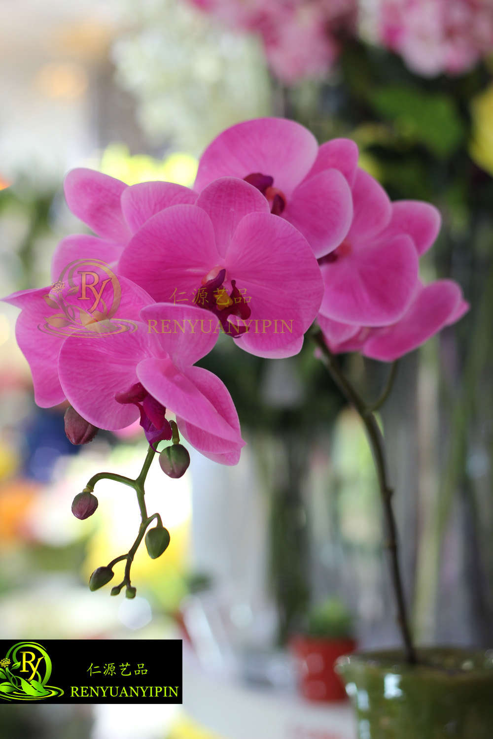 Simulation flowers of Phalaenopsis Phalaenopsis emulation plant home decoration2