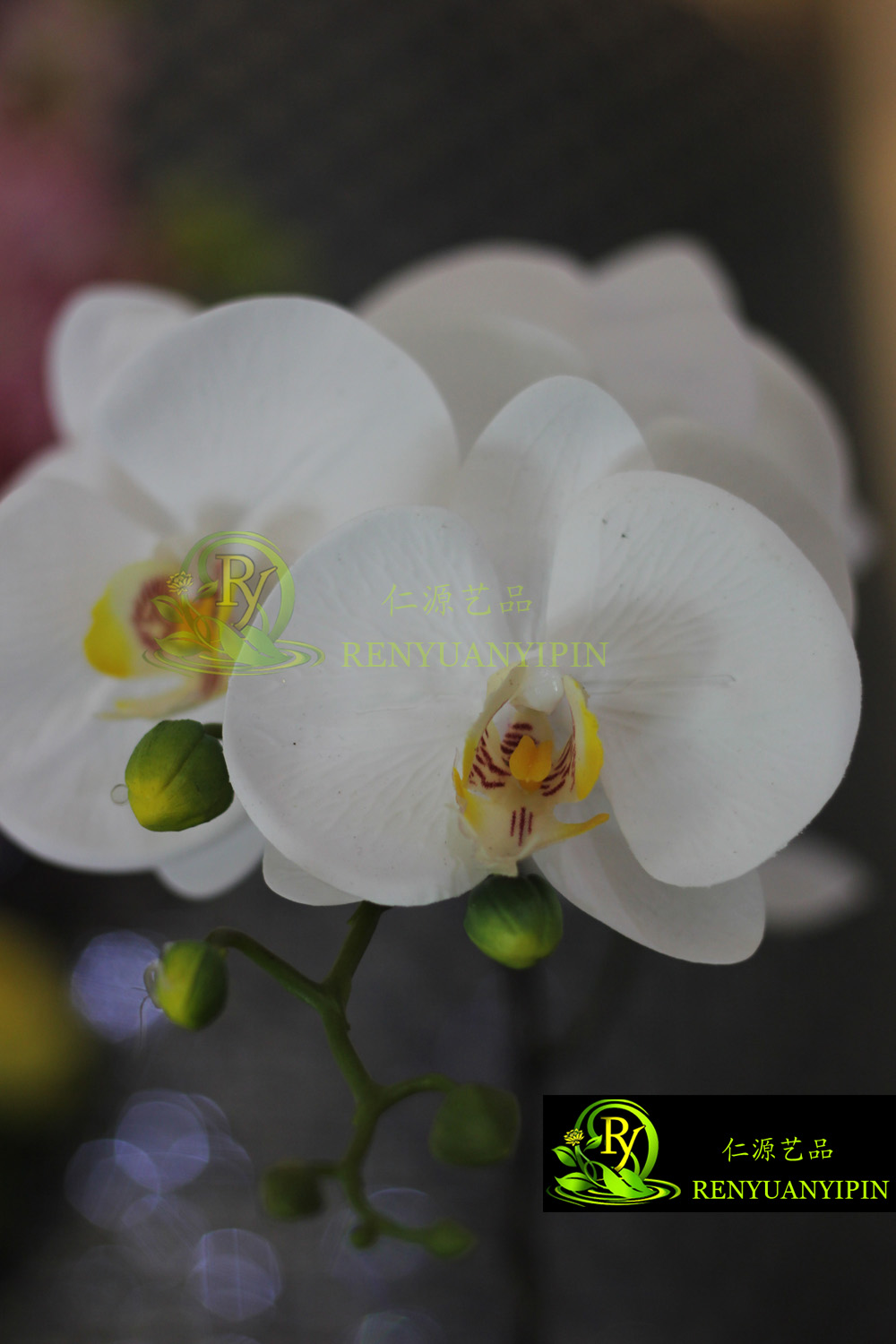 Simulation flowers of Phalaenopsis Phalaenopsis emulation plant home decoration3