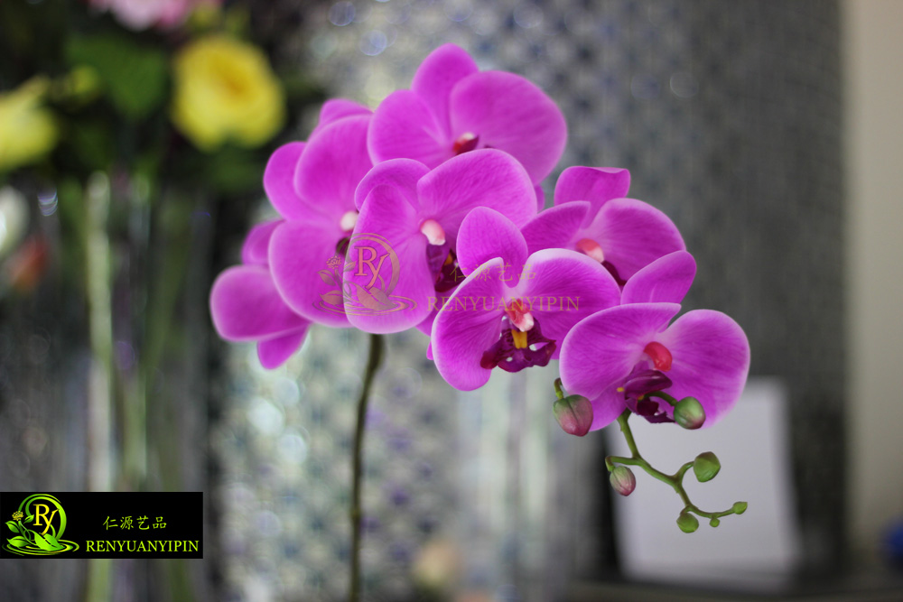 Simulation flowers of Phalaenopsis Phalaenopsis emulation plant home decoration4