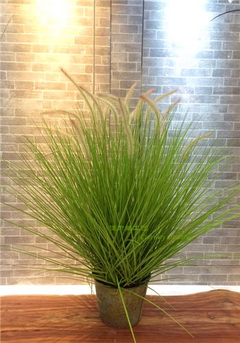 European grass iron pots simulation grass plant simulation Home Furnishing decoration1