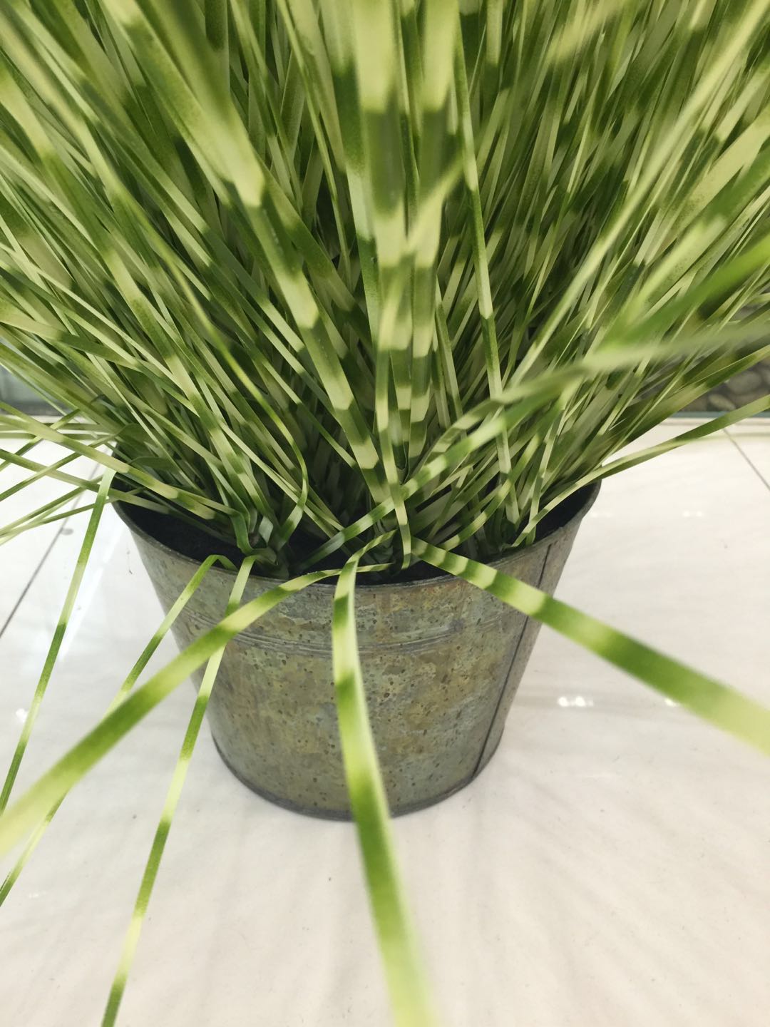 Simple field zebra grass iron basin simulation plant simulation plant home decoration3