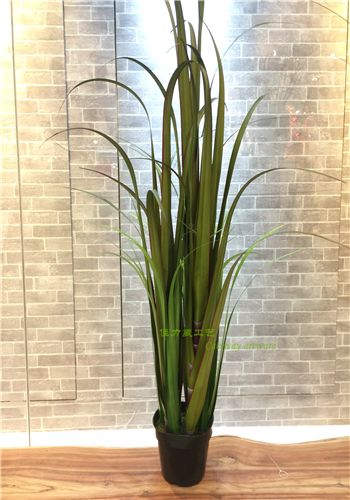 Simple pastoral sugarcane grass basin simulation plant home decoration1