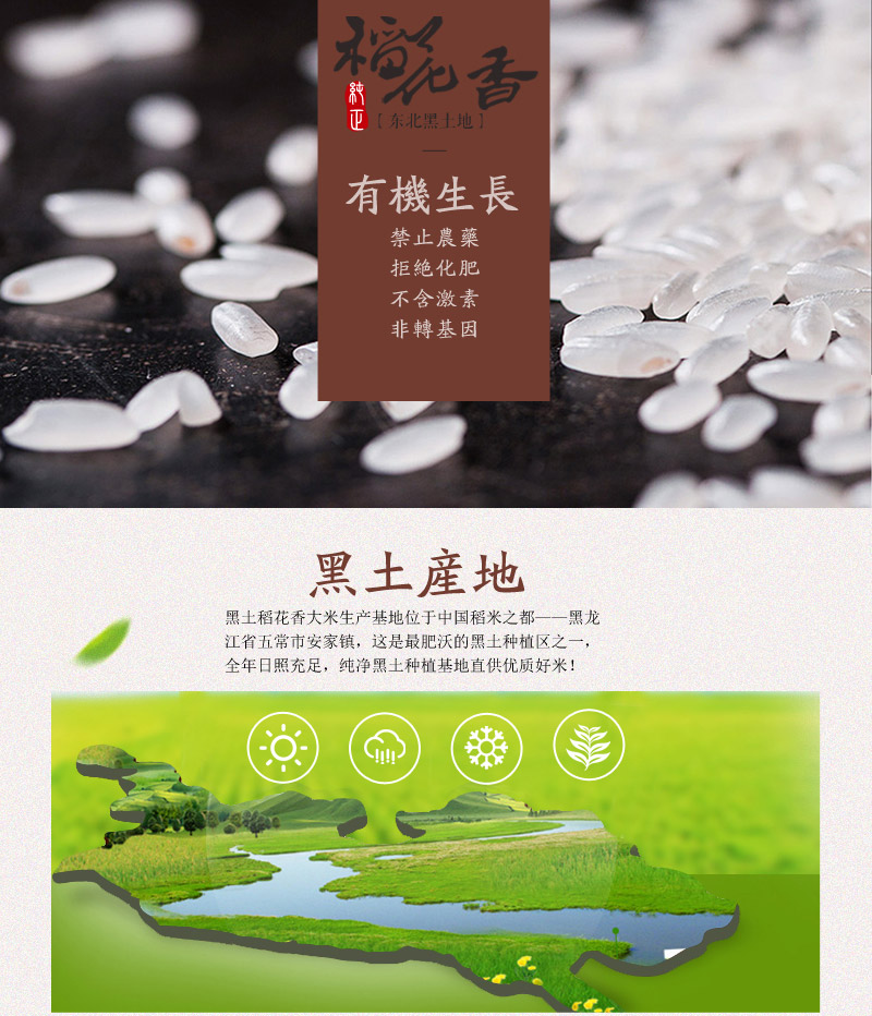 Black rice Wuchang rice base direct supply -- essential gifts4