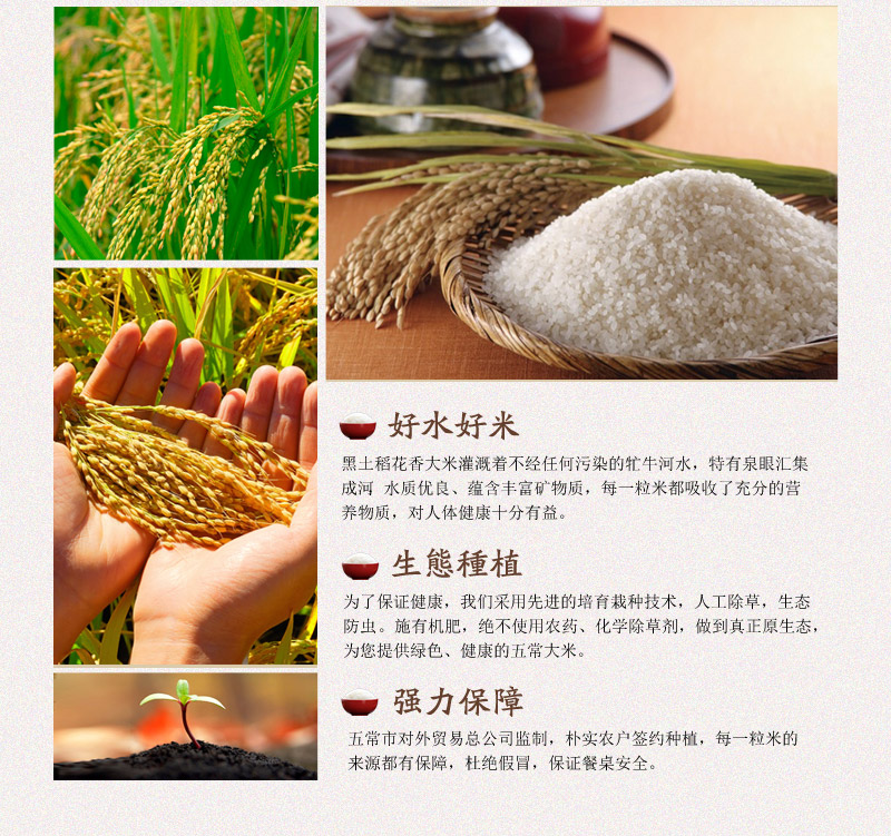 Black rice Wuchang rice base direct supply -- essential gifts5