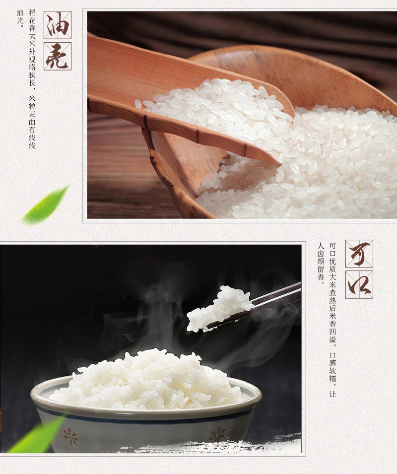 Black rice Wuchang rice base direct supply -- essential gifts9