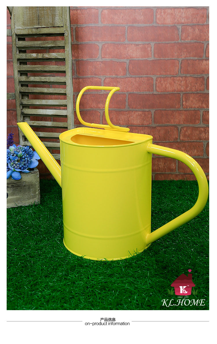 Carrier fashion flower gardening plants and iron bucket watering pot pot sprinkler household balcony1