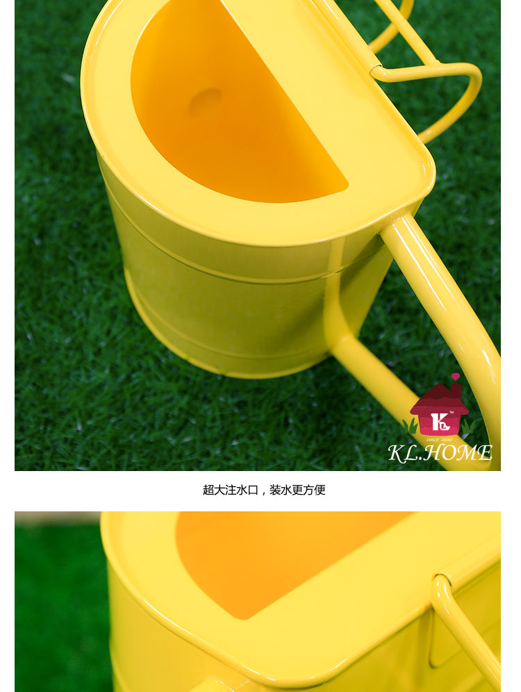 Carrier fashion flower gardening plants and iron bucket watering pot pot sprinkler household balcony6