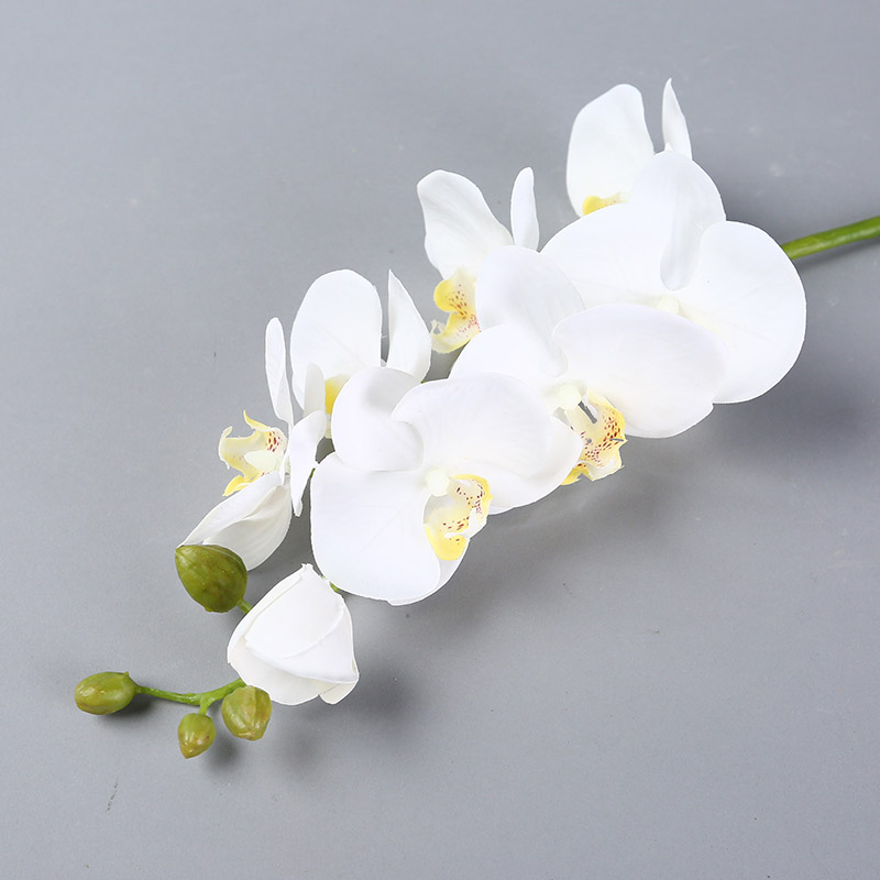 Advanced home interior simulation flower art 12 branch suit suit hand feeling of Phalaenopsis5