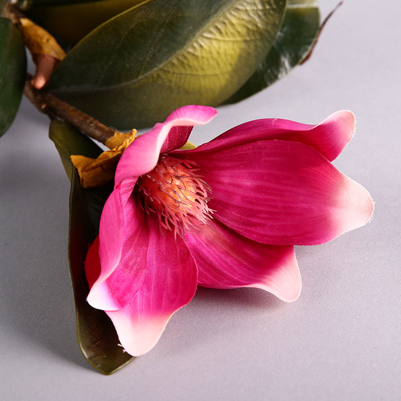 Simulation flower double head Magnolia (red) home indoor simulation flower room table home office room decoration flower simulation flower simulation flower RYYP175
