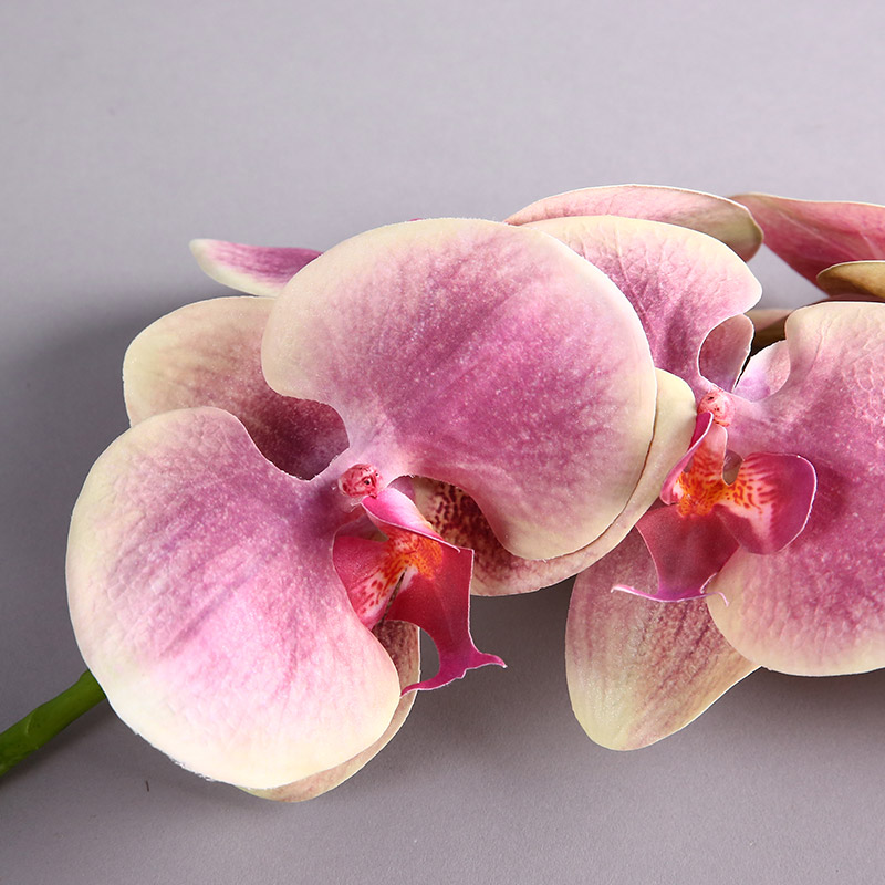 Simulation flower 3D big Phalaenopsis (Jian Hong) home indoor simulation flower room table home office room decoration flower simulation flower simulation flower RYYP323