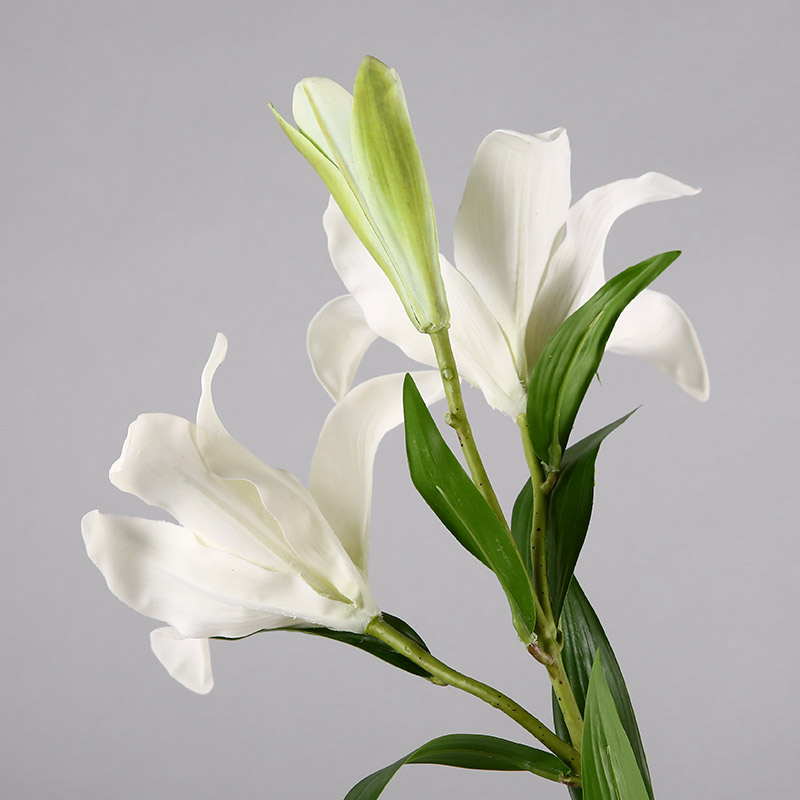 Simulation flower 3D lilies (white) indoor indoor simulation flower shop room table home office decoration flower simulation flower simulation flower RYYP384