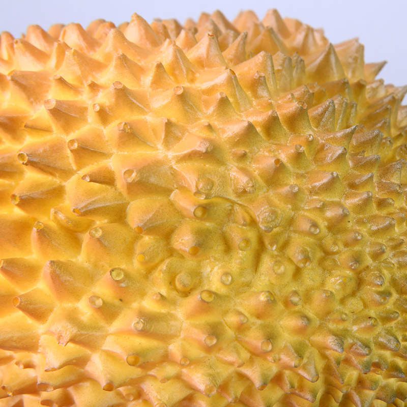 Durian creative photography store props ornaments simulation kitchen cabinet simulation fruit / food vegetable decor HPG315