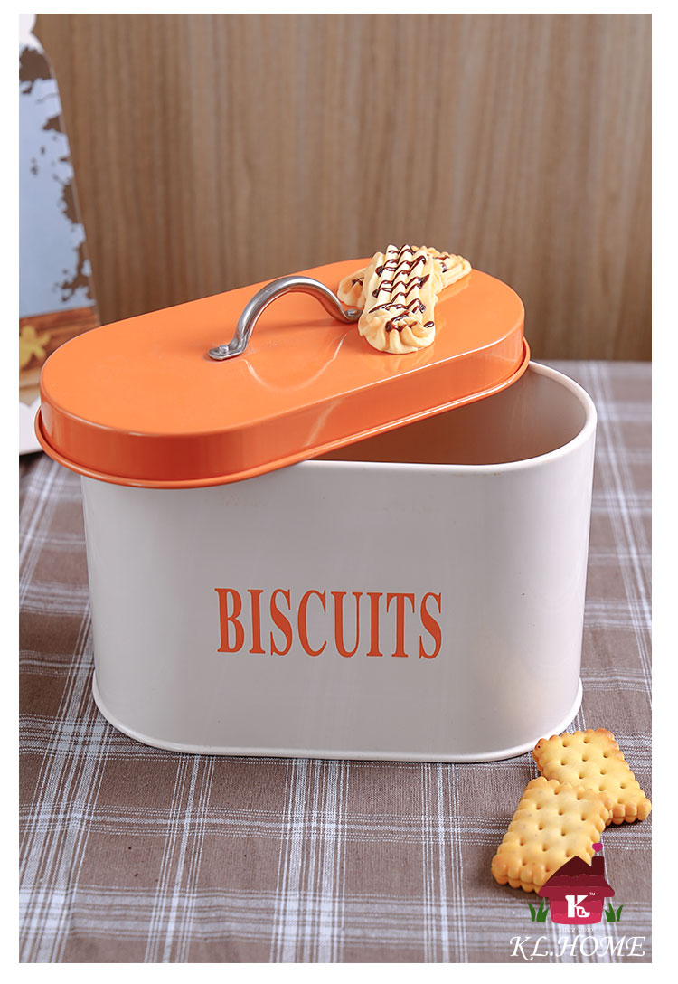 Carrier fashion European storage tank, thick iron tea canister, canister, candy and biscuit canister suit11