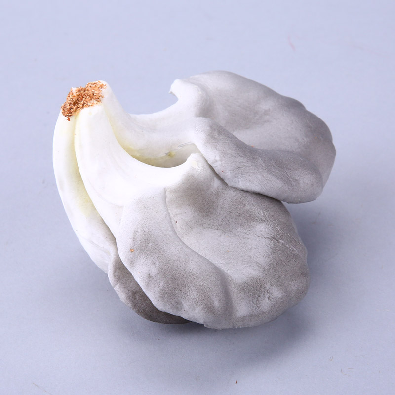 Mushroom creative photography store props ornaments simulation kitchen cabinet simulation fruit / food vegetable decor HPG775