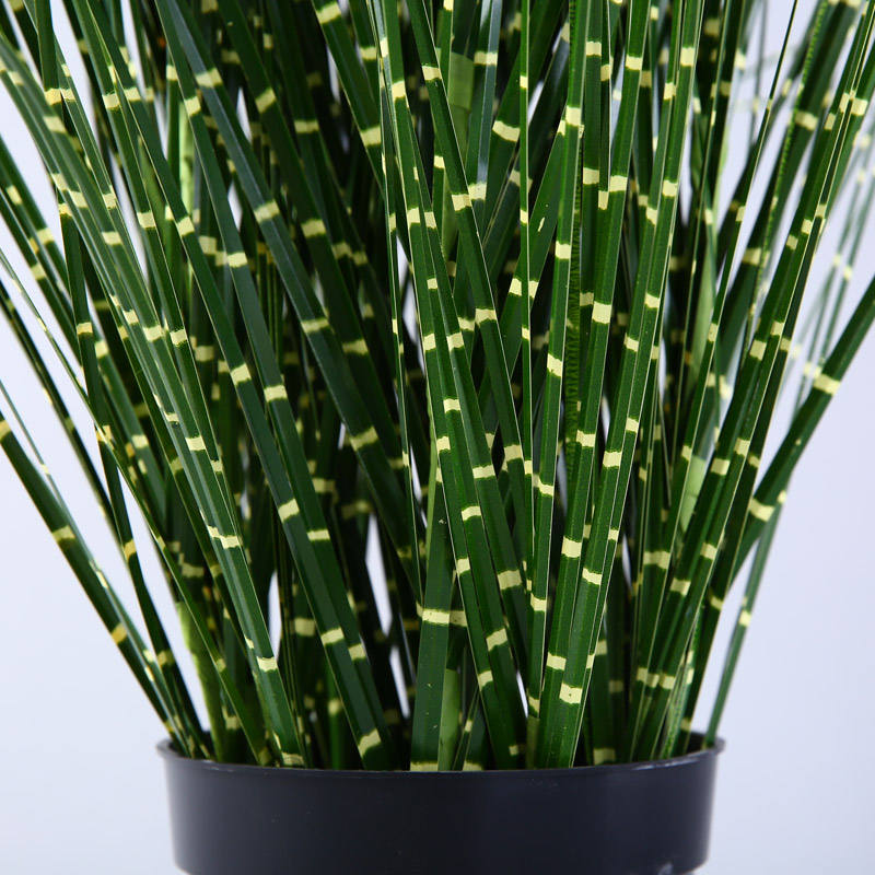 Dry reed grain props simulation simulation of aquatic plant decorative pot reed green bristlegrass4