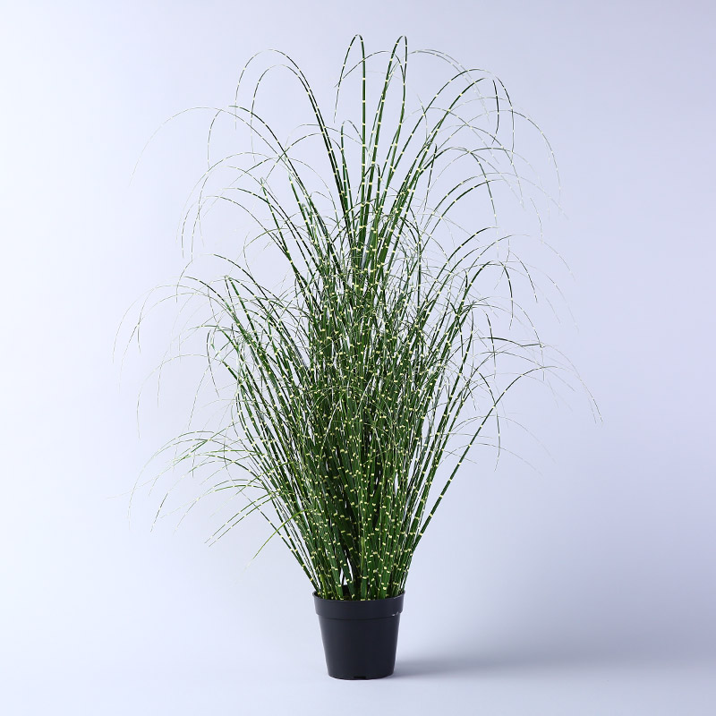Dry reed grain props simulation simulation of aquatic plant decorative pot reed green bristlegrass1