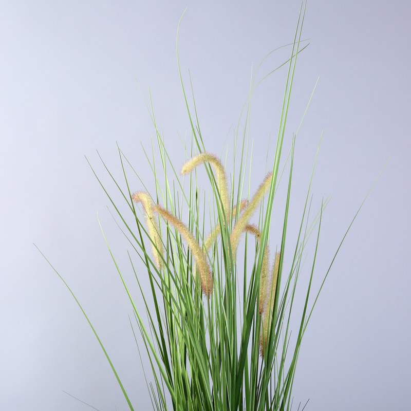 Environmental simulation potted aquatic plants landing simulation of reed grass plants bonsai display window decoration2