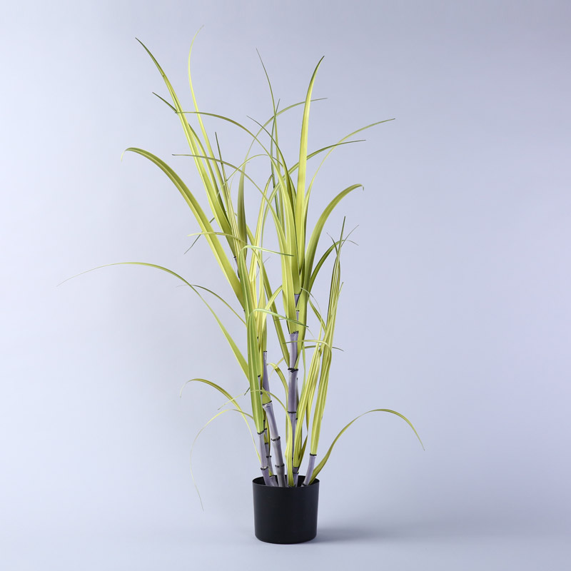 Green bamboo reed potted aquatic plant simulation grass landing simulation display window decoration bonsai plants2