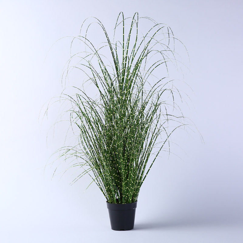 Simulation of environmental simulation of potted aquatic plants landing simulation of reed grass plants bonsai display window decoration1