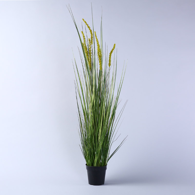 The simulation and Simulation of potted plant simulation shooting props decoration decorative plants grass JLW161