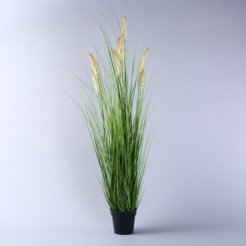 The simulation and Simulation of potted plant simulation shooting props decoration decorative plants grass JLW151