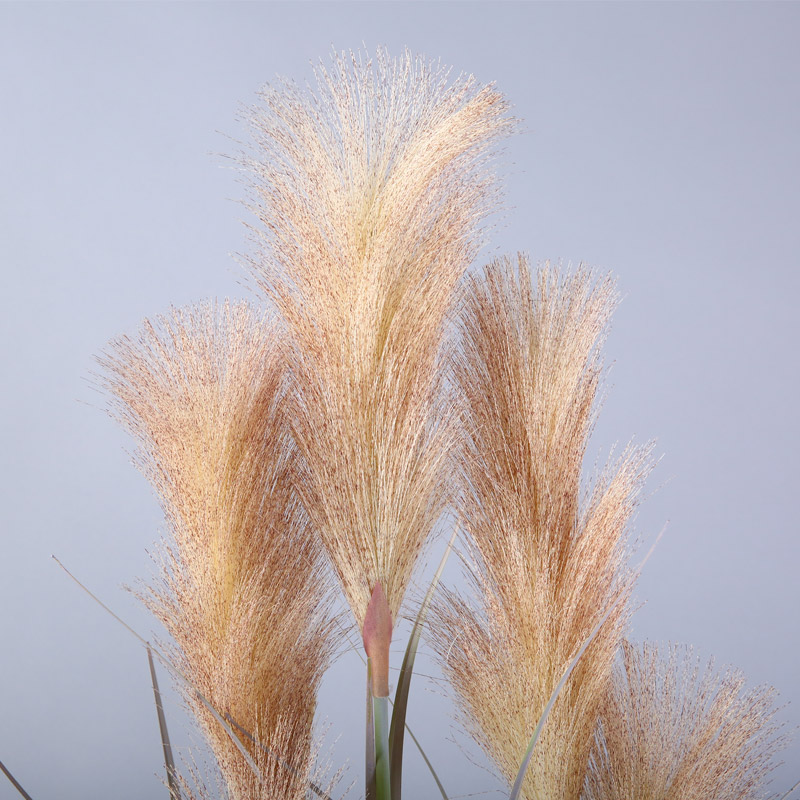 Simulation of flowers and plants to shoot prop decoration simulation plant potted plant simulation grass reed plant decoration JLW243
