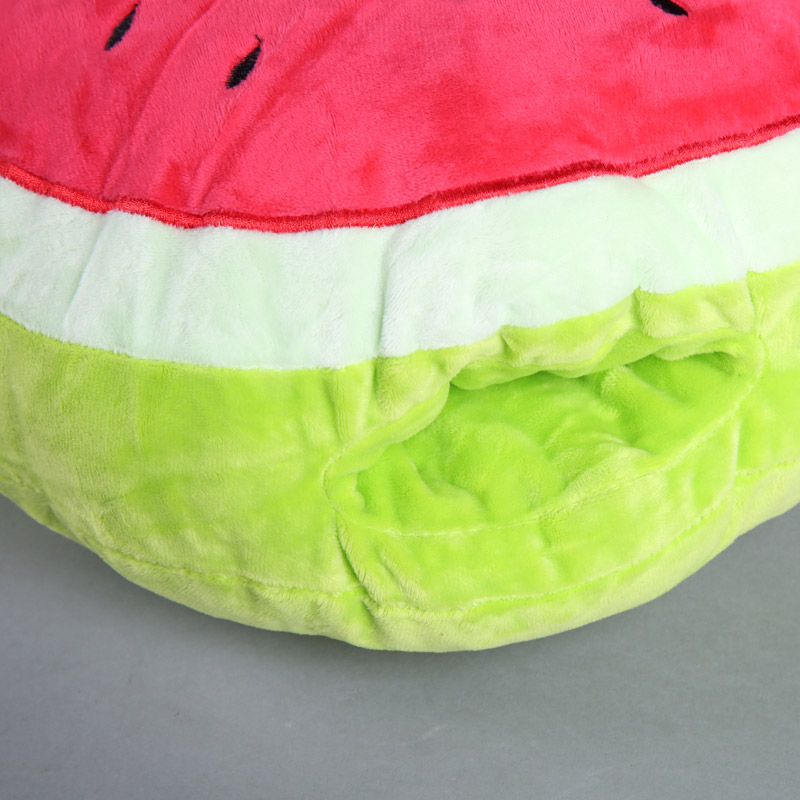 Watermelon pillow pillow cushion4